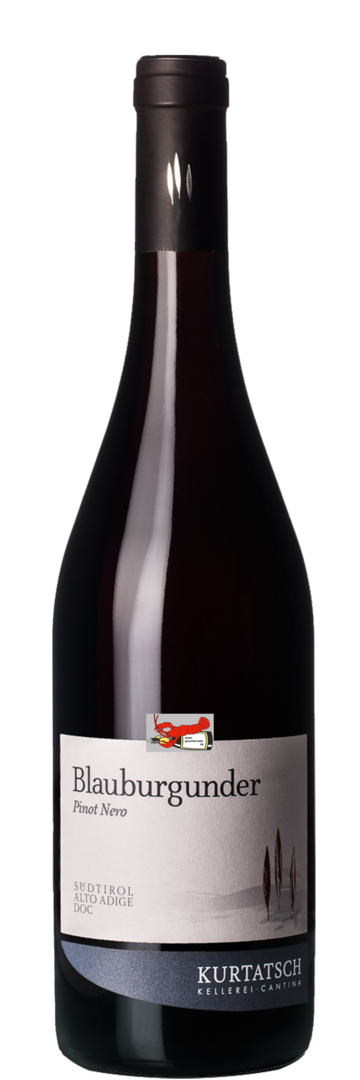 Blauburgunder (Pinot Nero) - Cantina Kurtatsch im 6er-SPAR-Karton